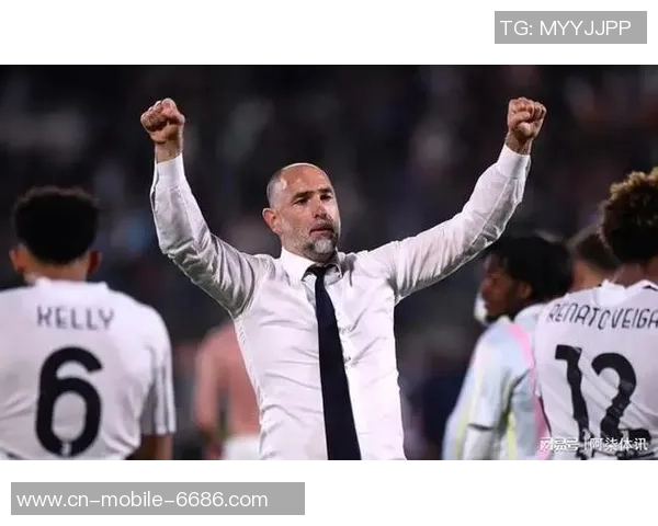 佩林:当图多尔被辞退时,咱们球员觉得自己是首要责任人 佩林:当图多尔被辞退时,咱们球员觉得自己是首要责任人